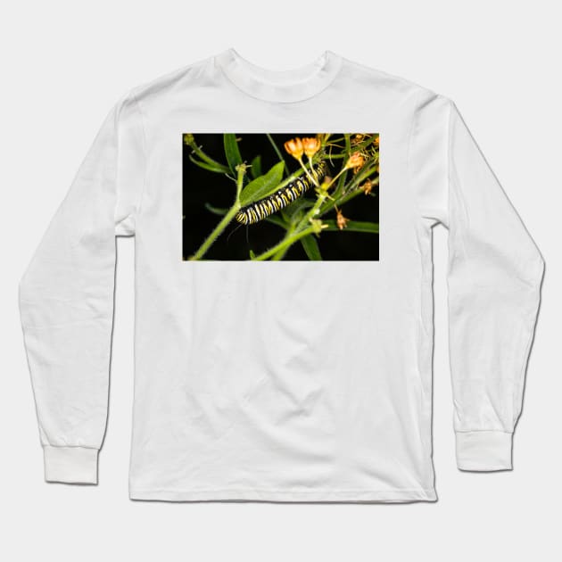 Monarch Caterpillar 3 Long Sleeve T-Shirt by Robert Alsop